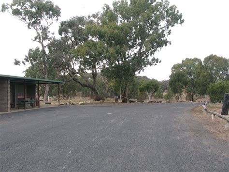 The Black Stump Rest Area Coolah Lots Of Space For Caravans And Large