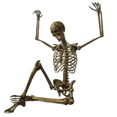 Halloween Skeleton Png Pic Png Mart