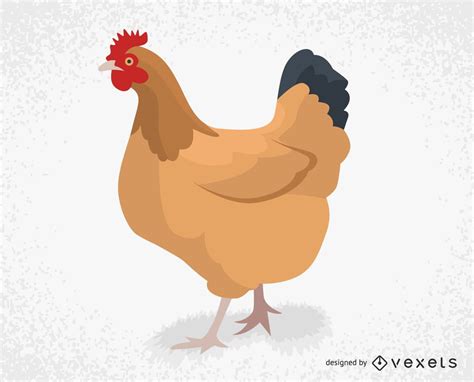 Farm Chicken Illustration Vector Download