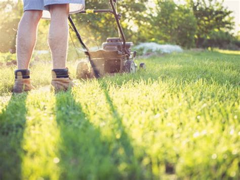 Dies gilt auch, wenn das abstandsgebot eingehalten wird. Rasen mähen: Wann ist es erlaubt? | selbermachen.de