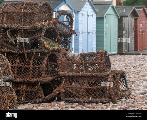 Crab Creels And Beach Huts On The Beach At Budleigh Salterton East Devon Uk Fishing And