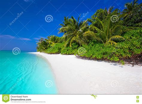 Tropical Island With Sandy Beach Palm Trees Overwater