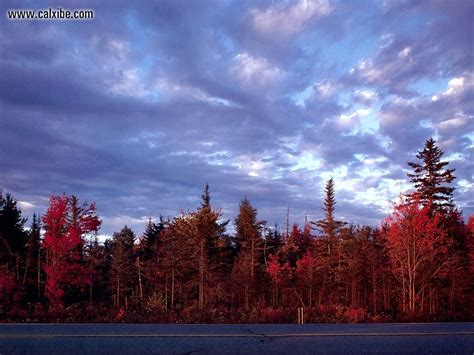 37 New England Autumn Wallpaper Wallpapersafari