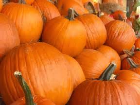 Fall Pumpkins My Delicious Blog