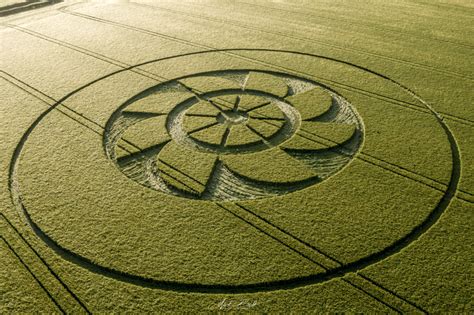 The Crop Circles Of 2019 Truth Agenda