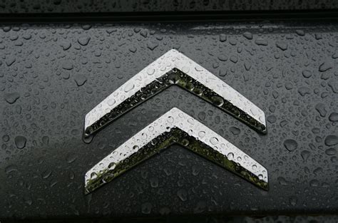 Polestar Logo Temporarily Banned In France Over Citroen Similarity