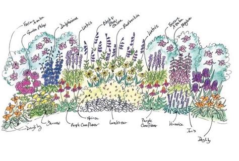 Mixed Border Garden  Cottage garden borders, Flower garden plans