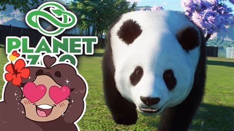 Beginning With An Escaped Panda 🐼 Daily Planet Zoo Day 1 Youtube
