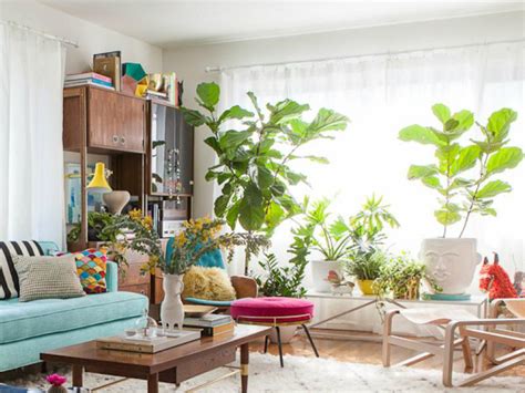 10 Cheerful Living Room Ideas With Plants Covet Edition