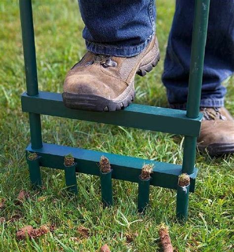 Need another excuse to treat yourself to a new book this week? Lawn aerator #lawnmowerplants | Lawn maintenance, Aerate lawn, Diy lawn