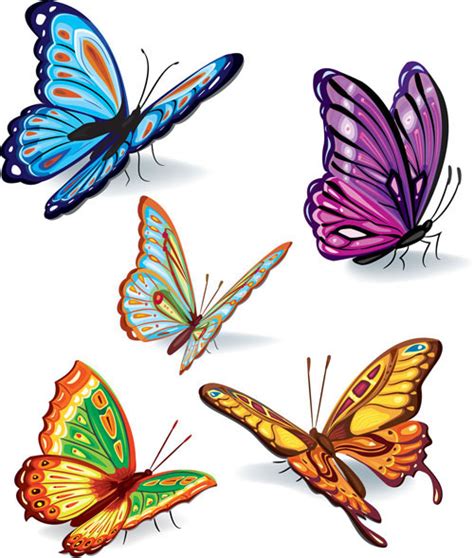 Download Butterflies vector material_Download free vector,3d model ...
