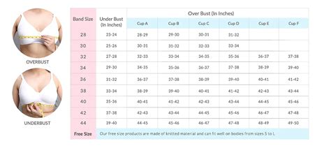 Push Up Bra And Lingerie Baalys Bra Size Chart Find Your Perfect Bra Size
