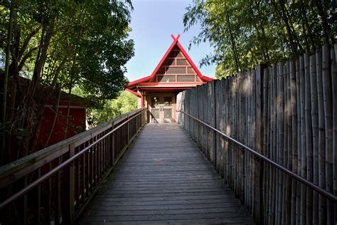 Zoo Atlanta Complex Carnivores And Traders Alley Epsten Group