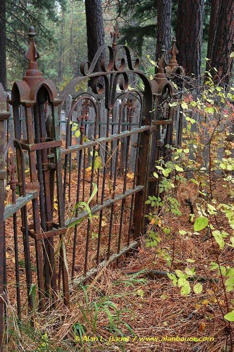 17 Best Images About Gates On Pinterest Gardens Iron Gates And