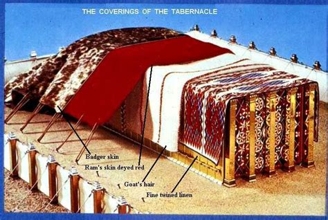 Pin By Jennifer Tillman Ford On Tabernacle The Tabernacle
