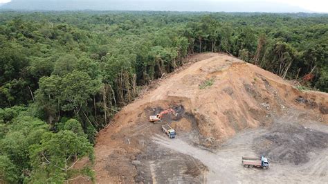 Describe Several Consequences Of Rainforest Deforestation
