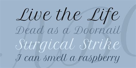 Petit formal script free font is great typefaces to suggest elegance, quality, refinement, and luxury. Petit Formal Script Font · 1001 Fonts