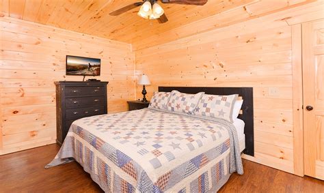 Hoping to take advantage of the best nature has to offer? Beavers Treehouse: Mountain View 4 Bedroom Vacation Cabin ...