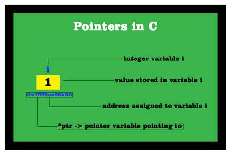 Pointers In Cc With Examples