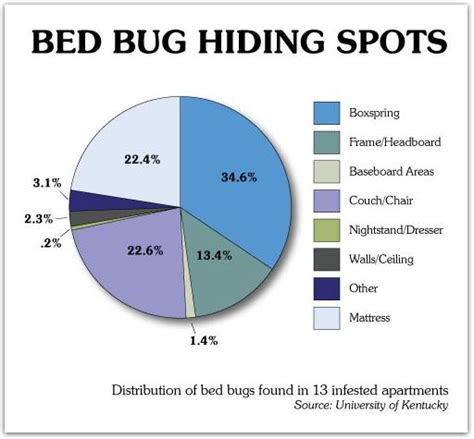 Bed Bugs Pictures Actual Size Stages And Skin Bites