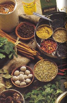 We All Nepali "Food Dictionary": Names of Nepali Masala in English