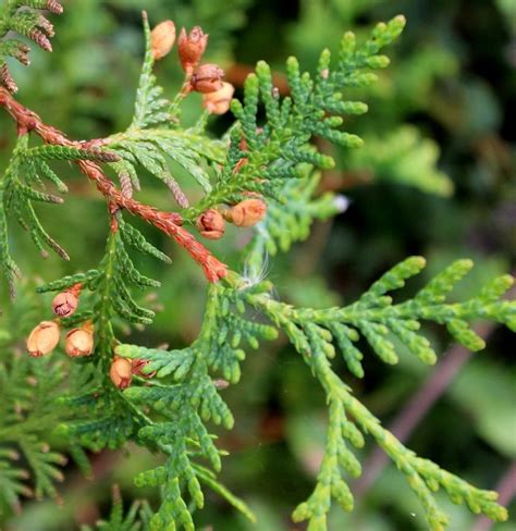 Check spelling or type a new query. Der Garten im September | Garten Wissen