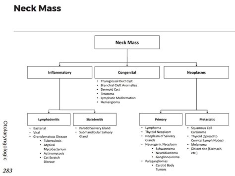 Neck Mass Differential Diagnosis Algorithm Congenital Grepmed