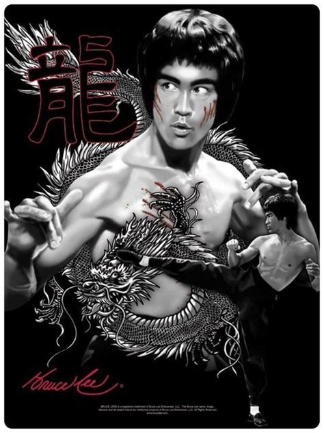 Looking for a good deal on bruce lee kung fu? Bruce Lee APP "The MAN" is only designed for Desktop ...