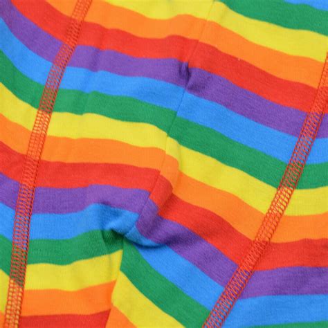 Mens Rainbow Striped Underwear Gay Pride Bisexual Boxer Lgbt Shorts Pant Clothes Ebay