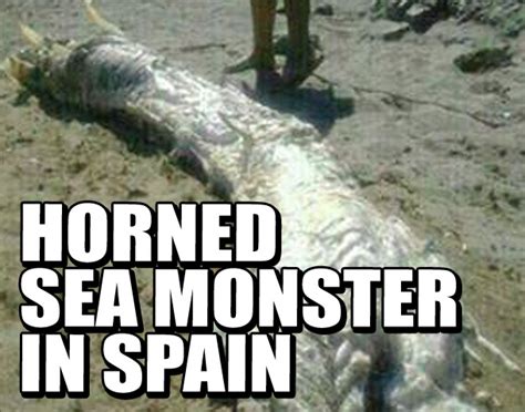 Horned Sea Monster In Spain Weekly World News