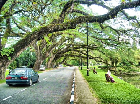 Kita boleh naik ke puncak dengan menaiki kenderaan yang disediakan. Taman Tasik Taiping in Taiping, Perak by Mohammad Khairul ...