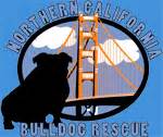 The Bulldog Club of Northern California