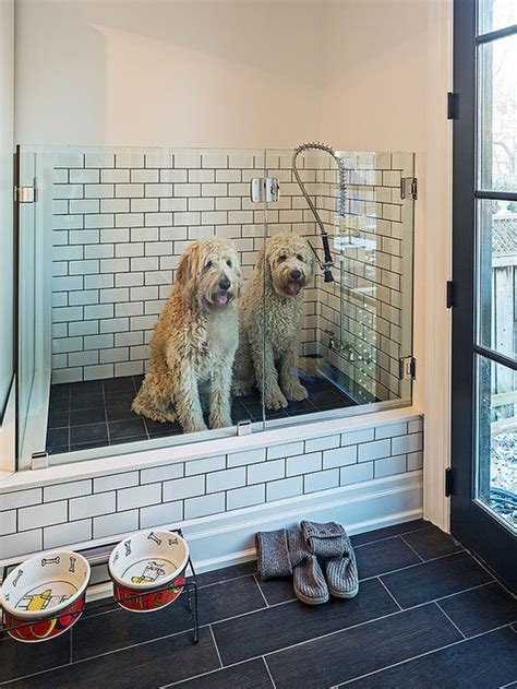 Dog Shower Houzz