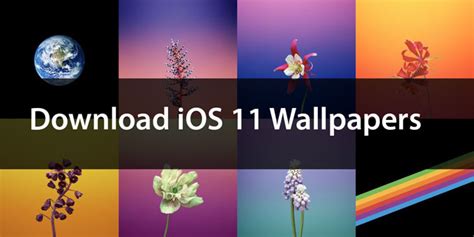 Download The Official Ios 11 Wallpapers For Iphone And Ipad