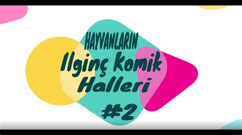 Find kultur, livsstil, dokumentarer, børneprogrammer og meget mere. Hayvanların İlginç/Komik Halleri #2 - YouTube