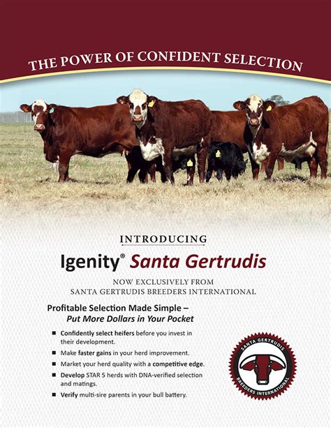 Igenity Santa Gertrudis Santa Gertrudis Breeders International