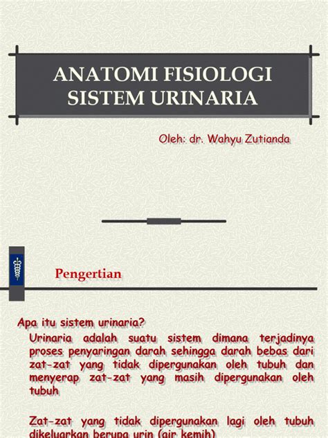 Anatomi Fisiologi Sistem Urinaria Pdf