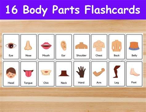 16 Body Parts Flashcards Image Cards Voor Kinderen Etsy België