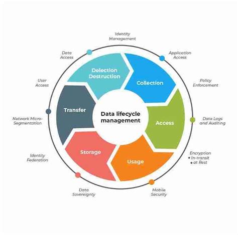 7 Phases Of Data Life Cycle Every Business Must Be Informed