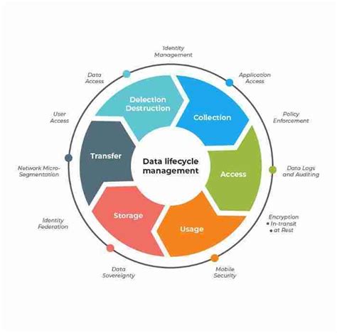 Data Management Life Cycle Hot Sex Picture