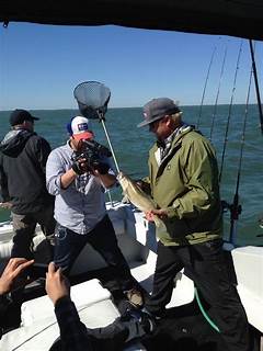 Walleye Odyssey A Journey Through Toledos Fishing History