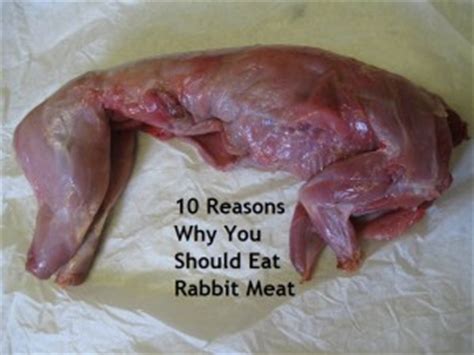10 Reasons Why You Should Eat Rabbit Meat