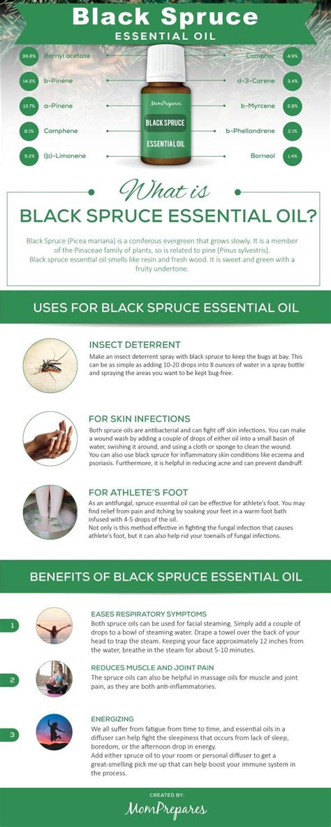 Black Spruce Essential Oil The Complete Uses And Benefits Guide