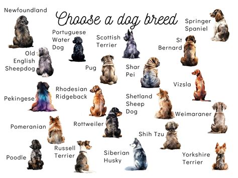 Dog Sympathy Card, Personalized With Name, Loss of Pet Dog, Angel