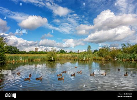 Wildlife pond in front of the High Royds housing estate, once an