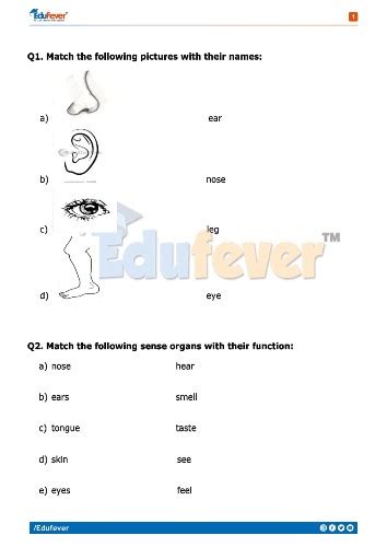 Cbse Class 1 Evs Revision Worksheet Set D Practice Wo