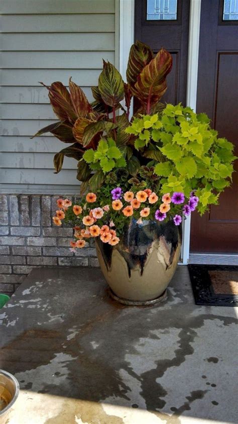 Maybe you would like to learn more about one of these? Front Porch Flower Pot - DECOOR | Front door flowers ...
