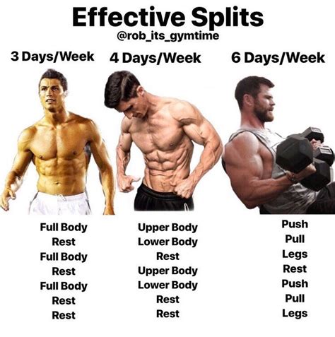 Powerful Muscle Building Gym Training Splits Gymguider Com Gym Workout Chart Gym Workout