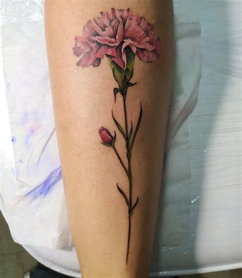 Simple Small Carnation Floral Designs 27 January Birth Month Flower