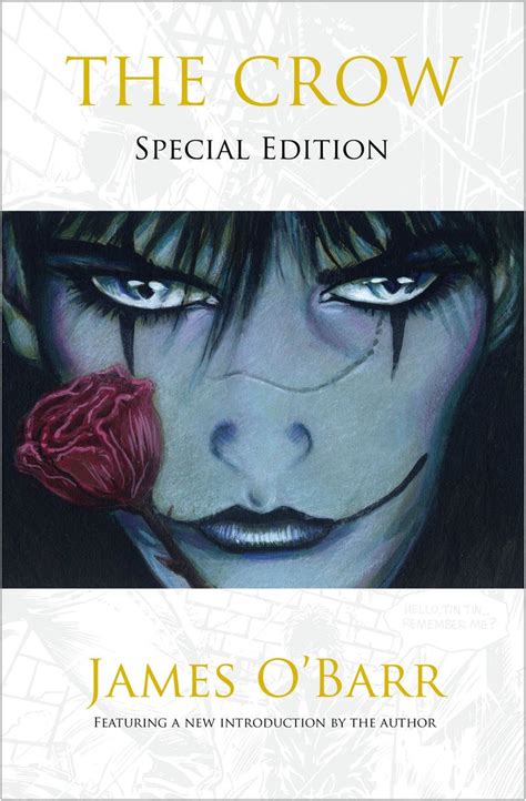 Curiosity Of A Social Misfit The Crow Special Edition Graphic Novel